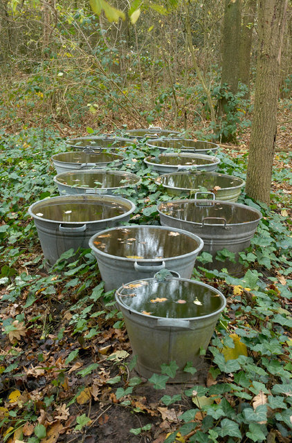 Tuin van de Tijd - Garden of the Time - Femke van Dam