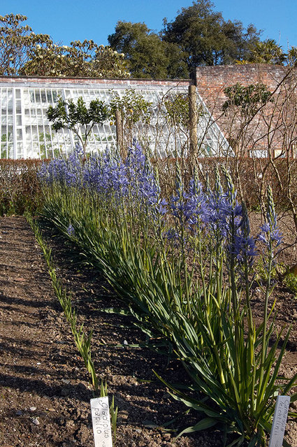 The Lost Gardens of Heligan