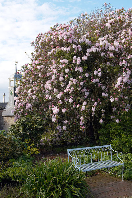 The Lost Gardens of Heligan