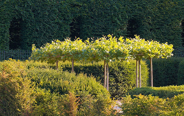 Alnwick Garden - Alnwick - UK