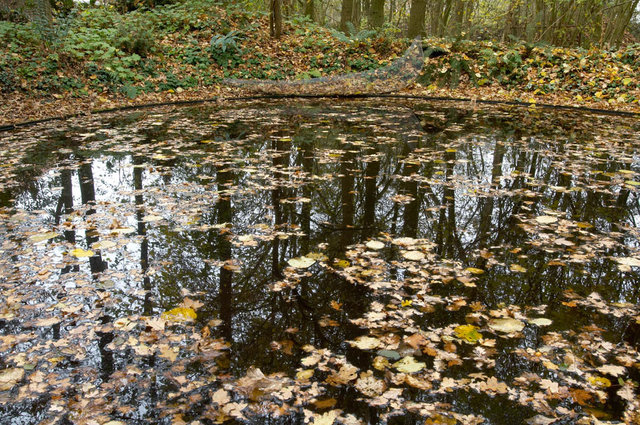 Tuin van de Tijd - Garden of the Time - Femke van Dam