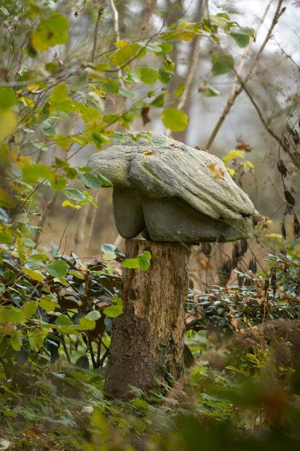 Tuin van de Tijd - Garden of the Time - Femke van Dam