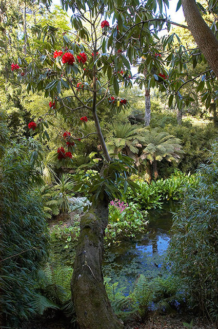 The Lost Gardens of Heligan