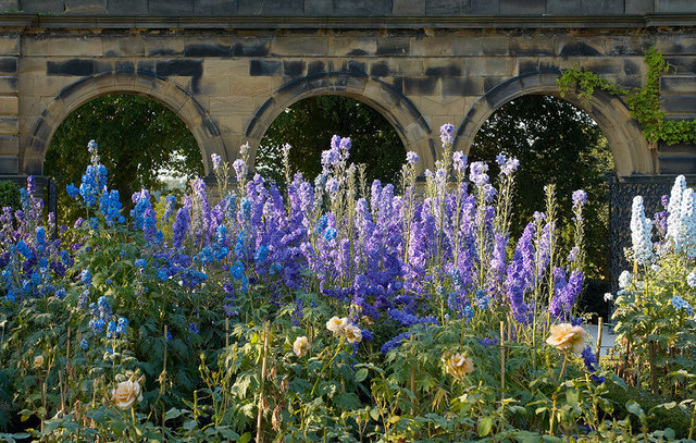 Alnwick Garden - Alnwick - UK