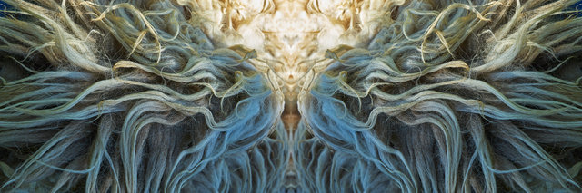 Divided portal of the Ram.jpg