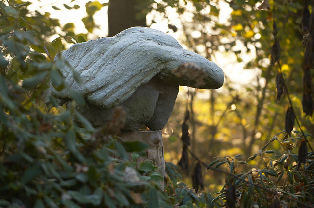 Tuin van de Tijd - Garden of the Time - Femke van Dam