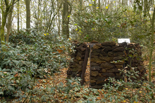 Tuin van de Tijd - Garden of the Time - Femke van Dam