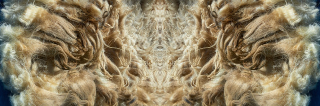 Divided Portal of The Sheep .jpg