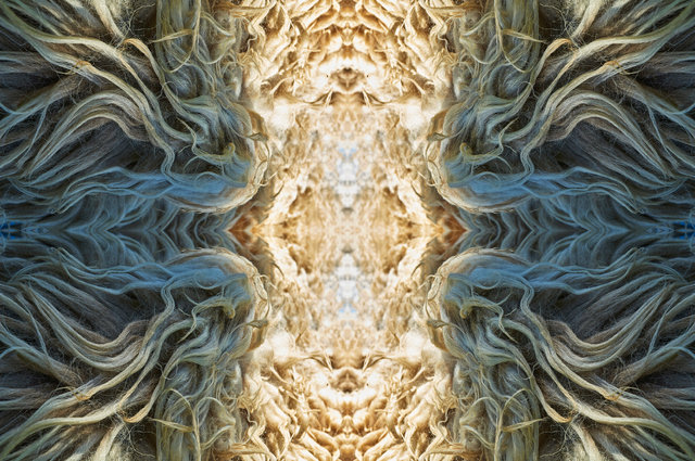 5 - Portal of The Ram 115 x 75 cm Hahnemuhle Photo Rag White Bright Paper + passepartout en lijst.jpg