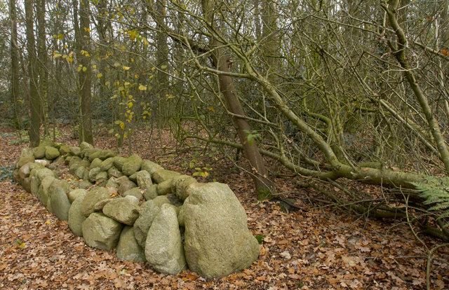 Tuin van de Tijd - Garden of the Time - Femke van Dam