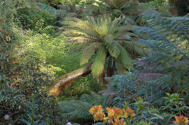 The Lost Gardens of Heligan