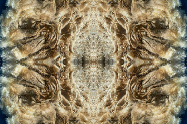 6 - Portal of The Sheep 115 x 75 cm Hahnemuhle Photo Rag White Bright Paper + passepartout en lijst.jpg