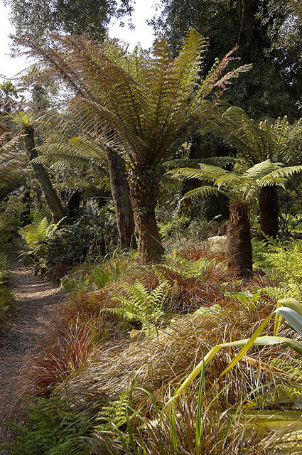 The Lost Gardens of Heligan