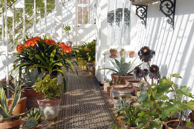 The Lost Gardens of Heligan