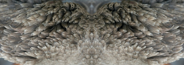 Portal of The Goose.jpg