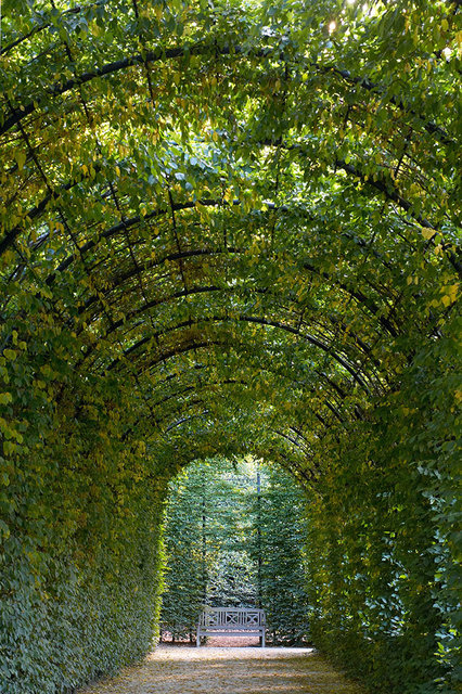 Alnwick Garden - Alnwick - UK