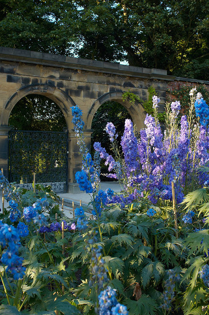 Alnwick Garden - Alnwick - UK