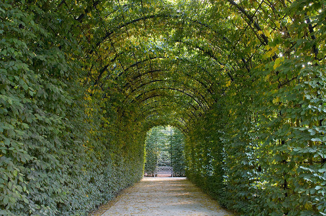 Alnwick Garden - Alnwick - UK