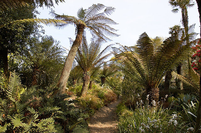 The Lost Gardens of Heligan