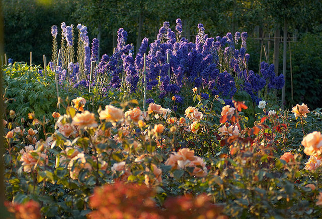 Alnwick Garden - Alnwick - UK