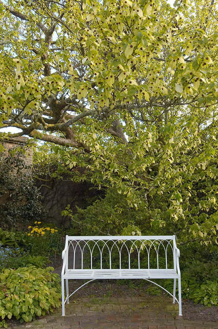 The Lost Gardens of Heligan