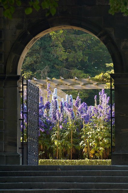 Alnwick Garden - Alnwick - UK