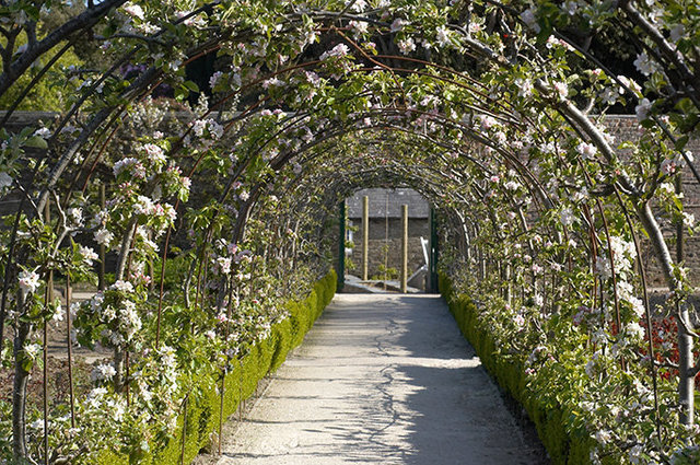 The Lost Gardens of Heligan