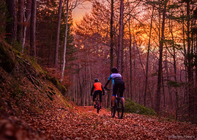 MTB Gabardito