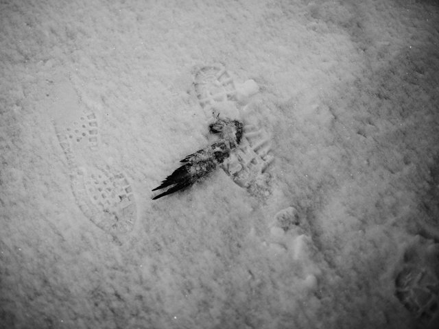 Footprints