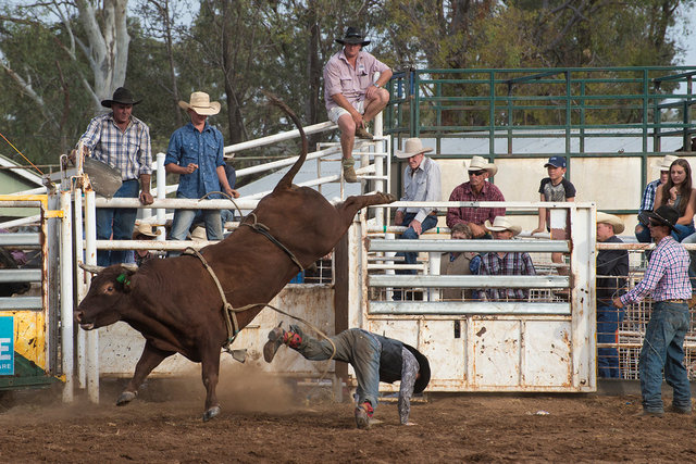 Rodeo 7 web.jpg