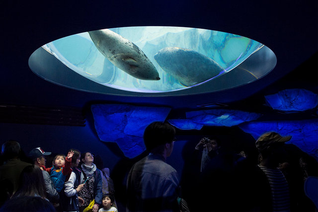 Japan 2015_0565-1 copy copy.jpg