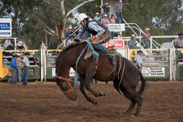 Rodeo 8 web.jpg