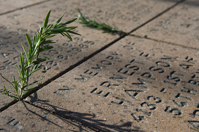 Anzac March & Lunch_376.jpg