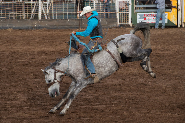 Rodeo 12 web.jpg