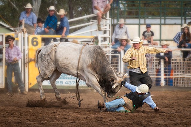 Rodeo 13 web.jpg