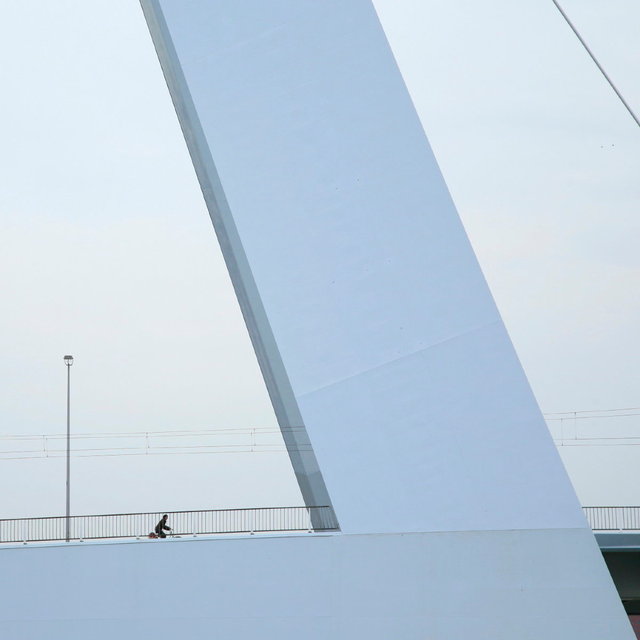 rotterdam - erasmusbrug - w-books