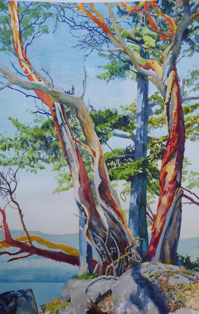Bench Arbutus. SOLD