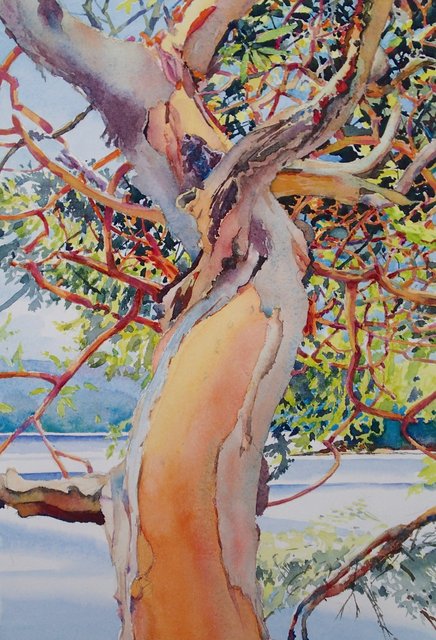 Galiano Arbutus (SOLD)