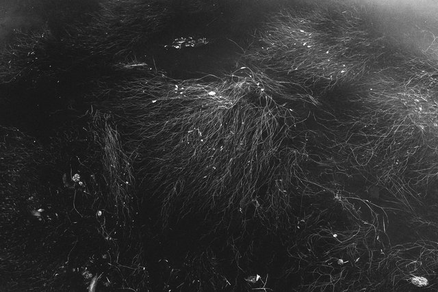 DSCF9387.jpg