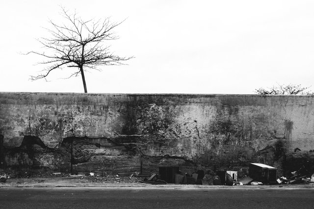 DSCF6965.jpg