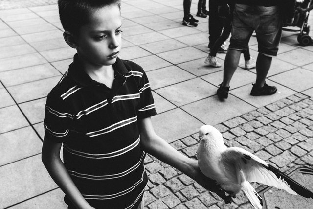 DSCF1081.jpg