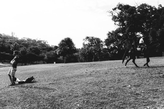 DSCF5879-2.jpg