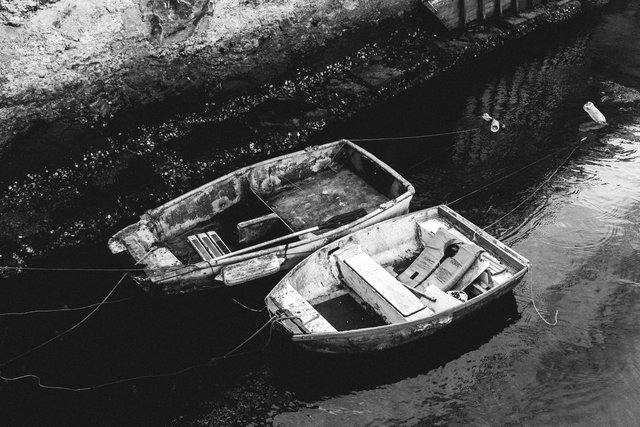 DSCF9132.jpg