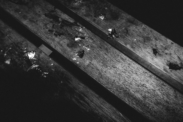 DSCF6770-2.jpg