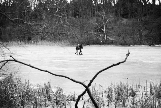 Grenadier Pond