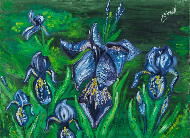 Irises
