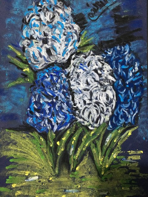 Hyacinth
