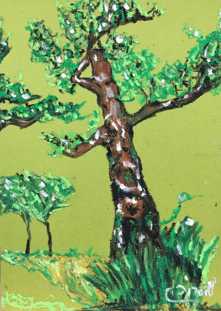 Hobbit Tree