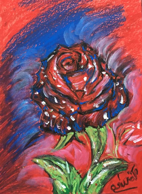 Red Rose