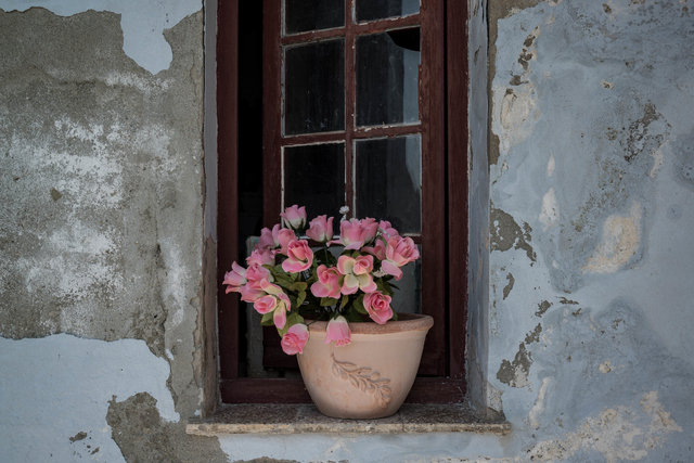 Blümels aus Plastik.